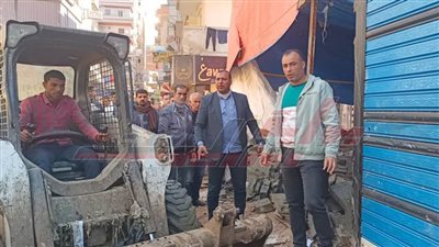 إزالة التعديات على الأراضي الزراعية ومحال مخالفة بكفر الشيخ 