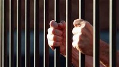 تجديد حبس 4 متهمين بتشكيل عصابي تخصص في سرقة إطارات السيارات بالقليوبية 