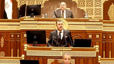 عيسى يستعرض استراتيجية تنمية السياحة أمام مجلس الشيوخ 