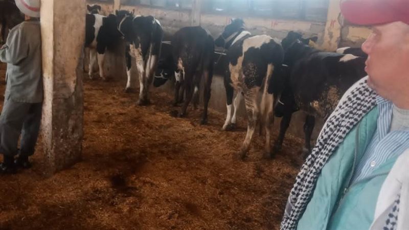 إنطلاق فاعليات الحملة