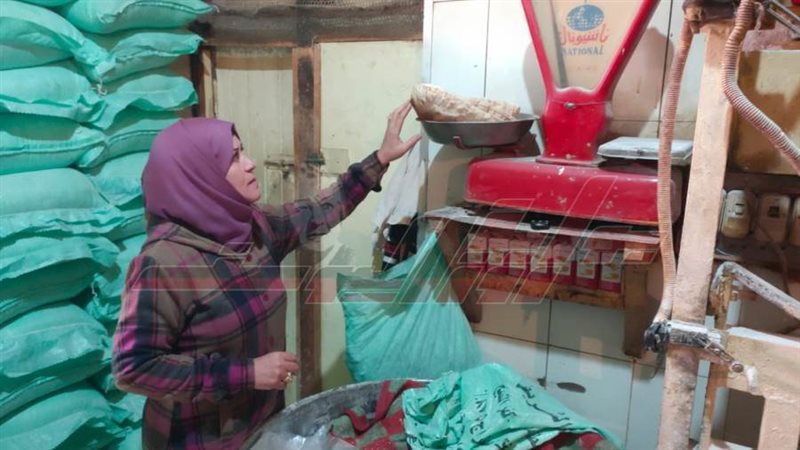 الحملات الرقابية