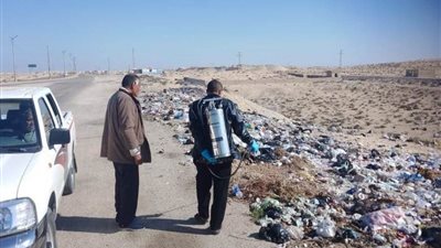 مواصلة أعمال مكافحة القوارض والحشرات بالعريش