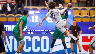 منتخب مصر يخسر أمام الدنمارك ويواجه السويد في ربع النهائي