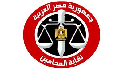 نبيل عبد السلام يطالب بالتعاون مع الجهات المعنية لتأكيد حصانة المحامين