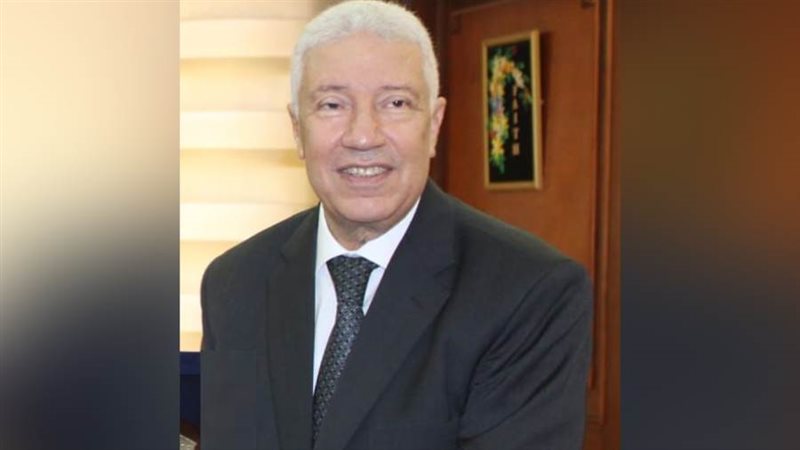 المستشار محمد بكر