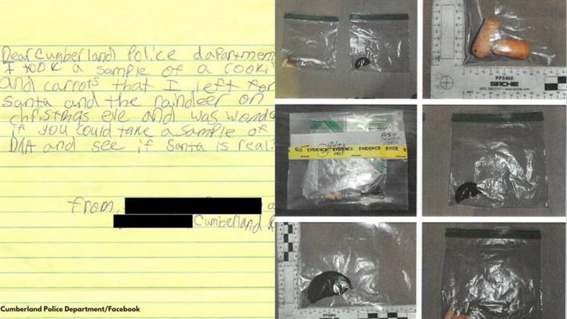 دليل الحامض النووي