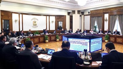 تعرف على قرارات مجلس الوزراء 