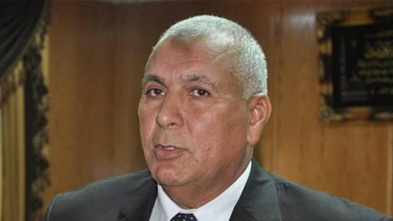 محافظ الوادي الجديد