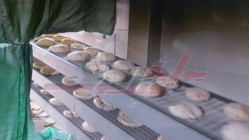 مخابز كفرالشيخ