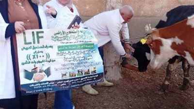 فحص وعلاج 902 رأس ماشية بالقافلة الطبية المجانية ببلبيس 