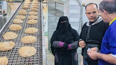 ضبط 660 كيلو مخلل وتحرير 78 مخالفة خلال حملة تموينية بالدقهلية 