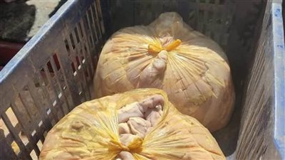 حملات لبيطري الوادي الجديد بالأسواق للتأكد من سلامة اللحوم 