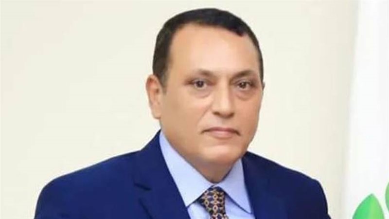 المهندس عمرو عبدالوهاب