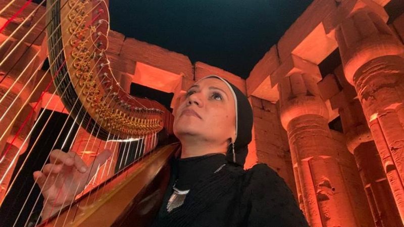 الدكتورة أميرة حامد