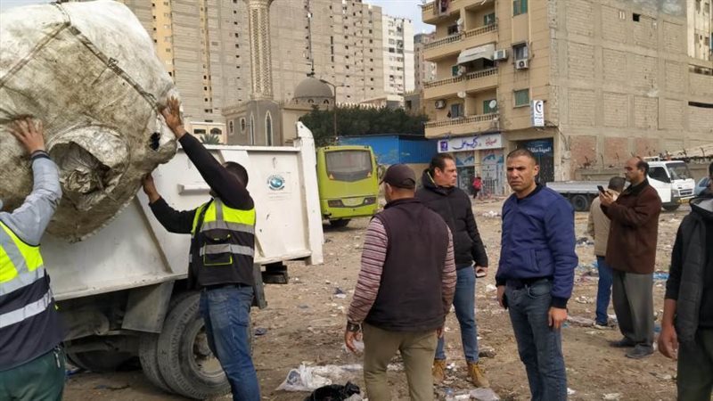 مكافحه النباشين بالاسكندريه