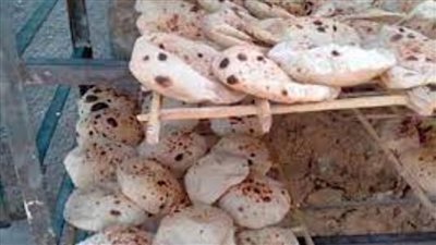 غلق مخبزين وتحرير 34 محضرًا في حملة تموينية بالبحيرة 