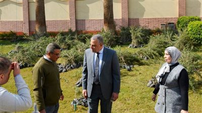 محافظ سوهاج يتفقد وصول 39 ألف شجرة جديدة من وزارة التنمية