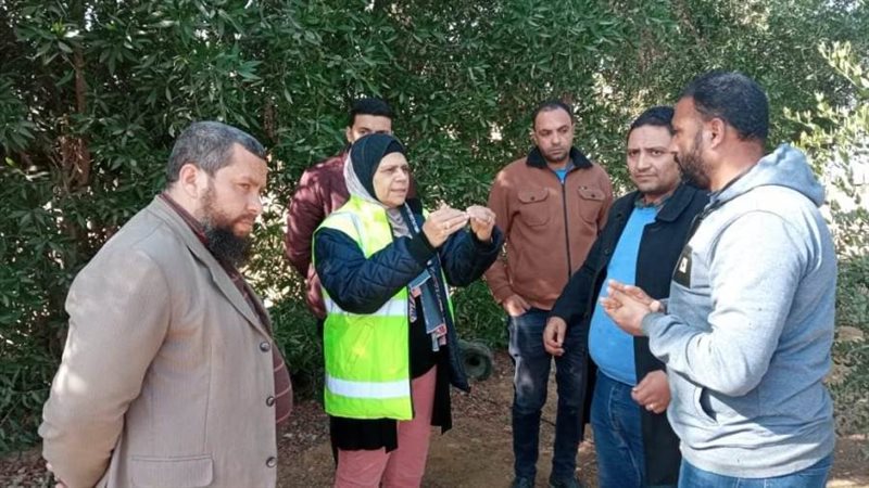 الغابة الشجرية ببنى