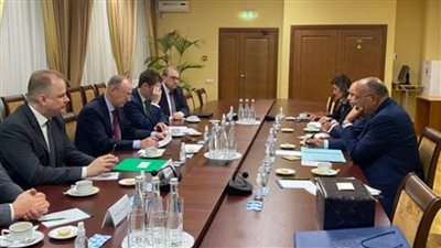 شكري يؤكد أهمية تغليب الحل السياسي لإنهاء الأزمة الروسية- الأوكرانية