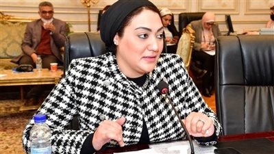 يدعم جهود الرئاسة والحكومة لتوفير مناخ استثماري..