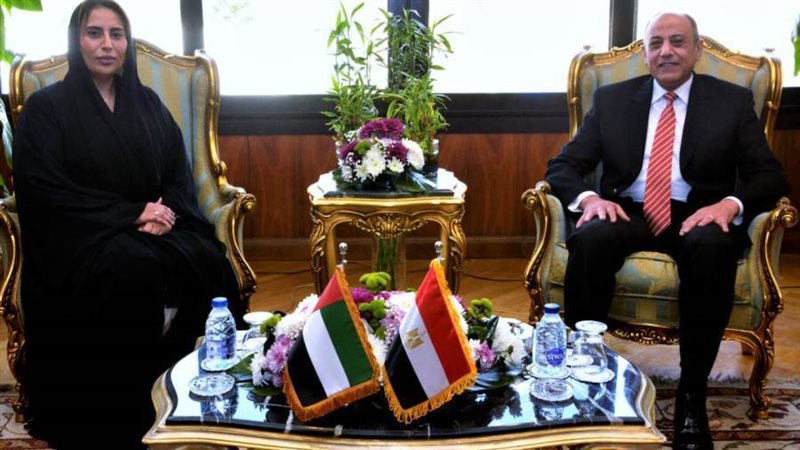 وزير الطيران الفريق