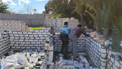 حملات مكبرة لإزالة التعديات على الأراضي الزراعية وإيقاف أعمال البناء المخالف بأحياء الإسكندرية 