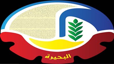 نائب محافظ البحيرة تعتمد عددًا من المخططات التفصيلية بالقرى