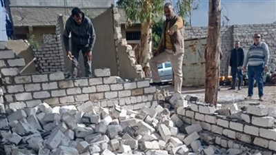 حملات لإزالة التعديات على الأراضي الزراعية وإيقاف أعمال البناء المخالف بالإسكندرية