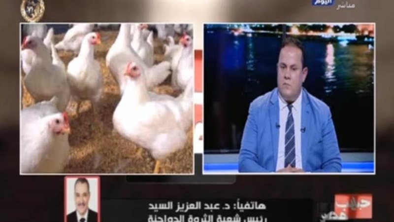 برنامج حبايب مصر