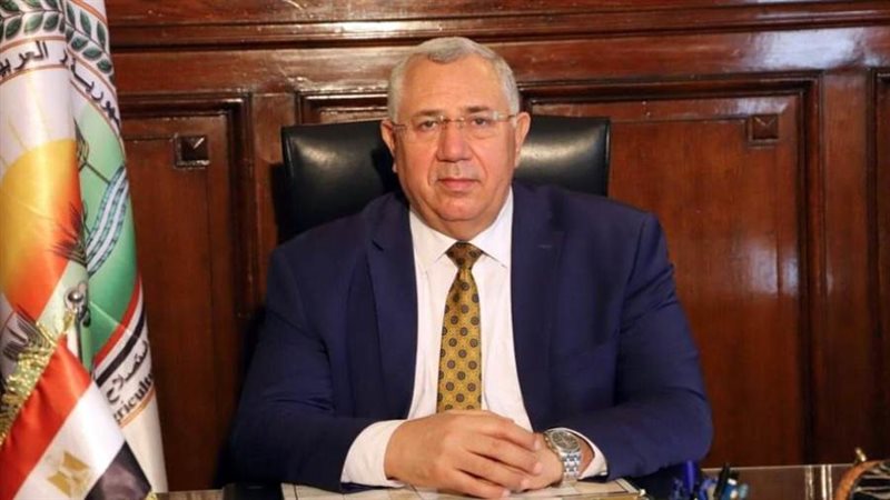 السيد القصير وزير