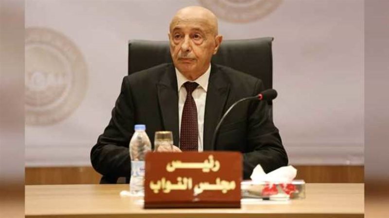 رئيس مجلس النواب