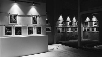 إطلاق أول منصة إلكترونية مصرية للصور