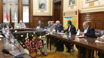 وزير الزراعة ومحافظ جنوب سيناء يبحثان الموضوعات المشتركة في مختلف المجالات  