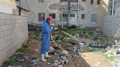 مكافحة القوارض والحشرات ضمن خطة الترصد الحشري بالعريش
