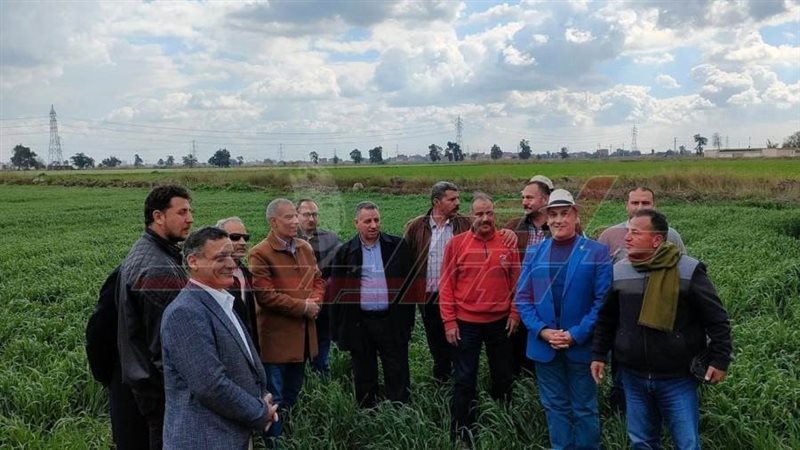 زراعة كفرالشيخ