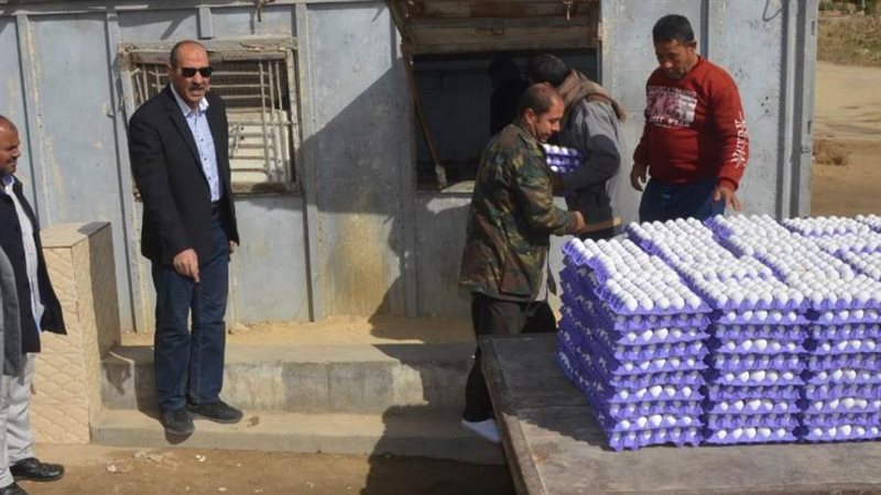 مشروعات البيض ببنى