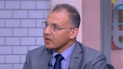 الدكتور فايز فرحات: هذه نقاط التوافق المصري السعودي 