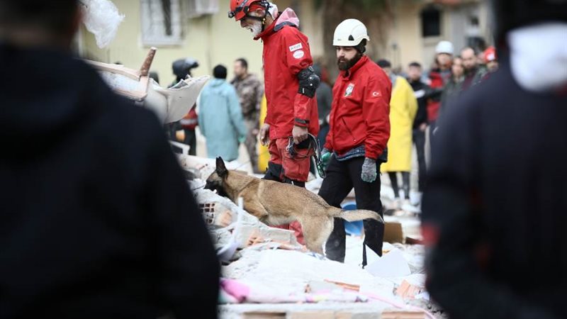 تواصل جهود البحث