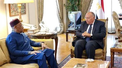 شكري: على الأطراف الخارجية التوقف عن محاولات تطويع العملية السياسية في ليبيا