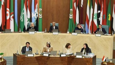 الجامعة العربية تؤكد ضرورة تعزيز التعاون الاقتصادي والاجتماعي العربي المشترك لمواجهة التحديات بالمنطقة 