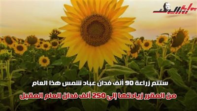 في 15 معلومة.. اعرف كيف تعمل الدولة على التوسع في إنتاج الزيت الخام محليًا