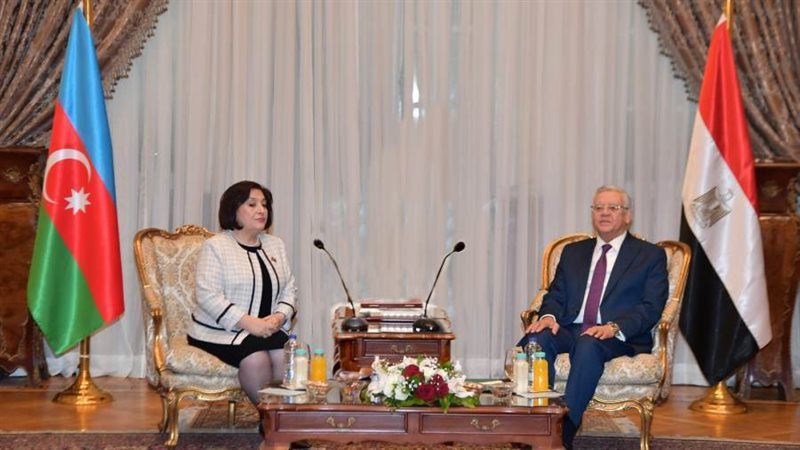 المستشار الدكتور