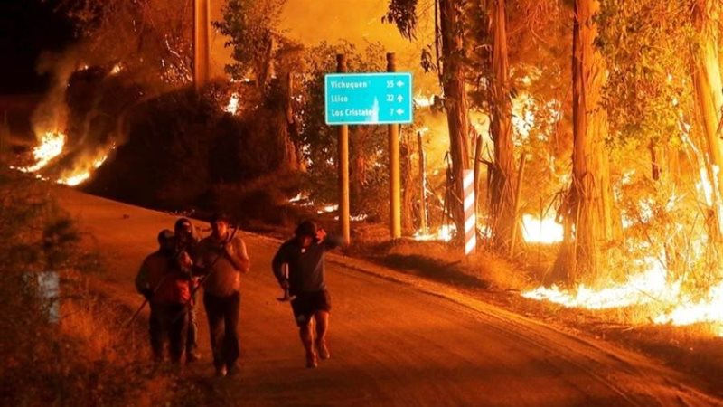 حرائق الغابات في