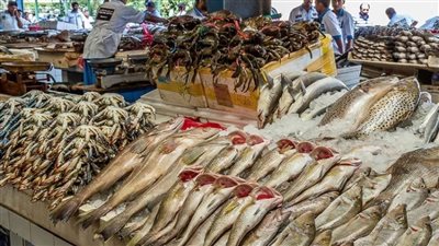 أسعار الأسماك اليوم الجمعة 10-2-2023 فى سوق الجملة 