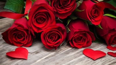 قبل عيد الحب.. تعرف علي أسعار الورد في مصر 2023