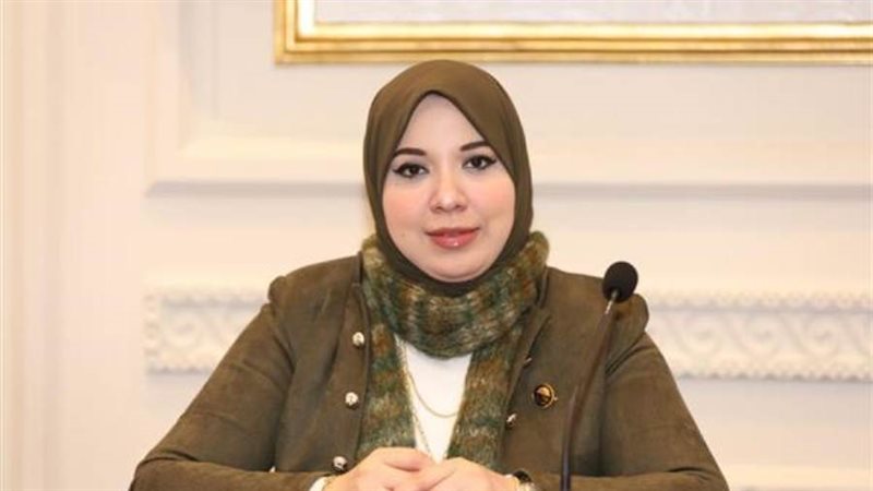 النائبةدينا هلالي