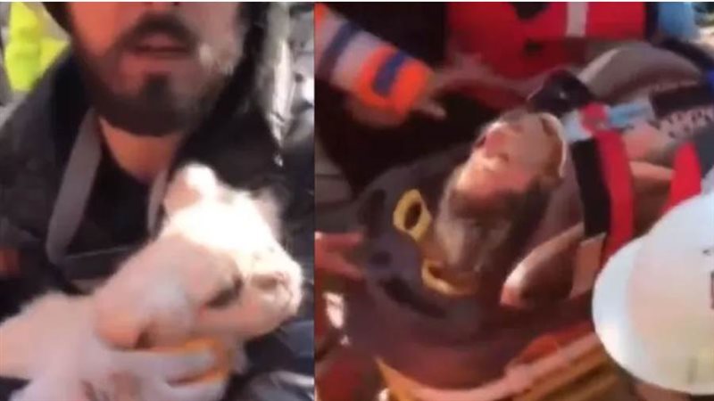 الكلب الذي انقذ صاحبته