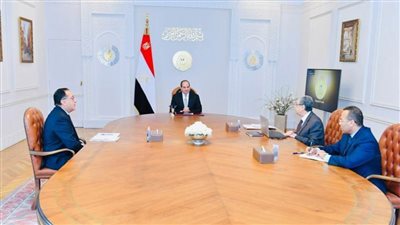 السيسي يوجه بتعزيز جهود توليد طاقة الهيدروجين الأخضر