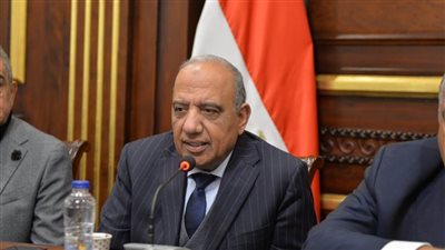 وزير قطاع الأعمال أمام 