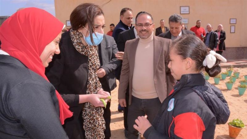 المدرسة المصرية اليابانية